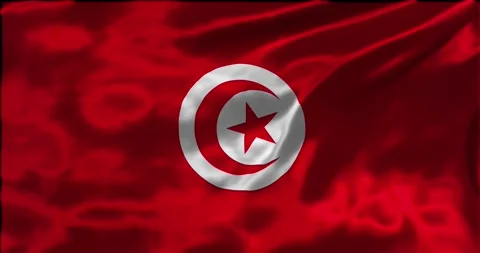 Loop Animation the flag of Tunisia, waving flag 4k animation footage Stock Footage 275297936