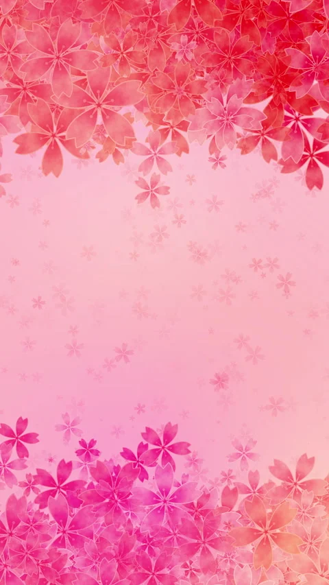 Loop animation frame of blossoms. Falling cherry blossoms. Video stock 273822172