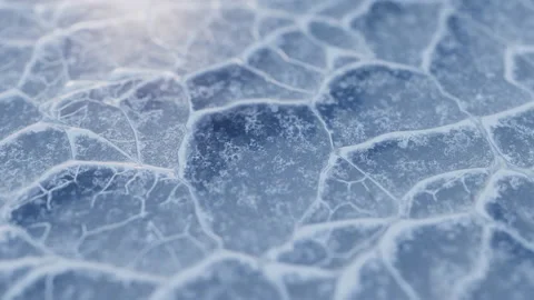 Loop animation of going forward on ice ground, 3d rendering. Video stock 198270048