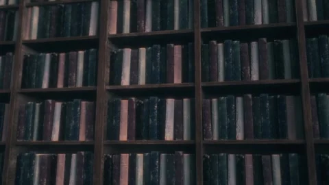 Loop Animation of Old Books on Wooden Shelves in Vintage Library Stock Footage 311675960