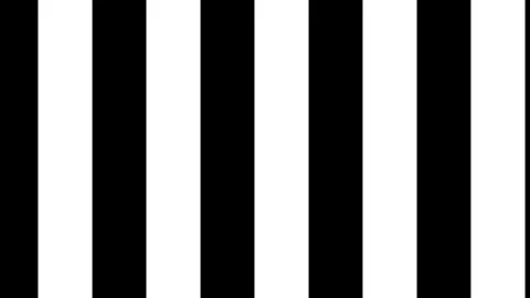 A loop animation stripes pattern with,black and white color motion blur Stock Footage 317377719