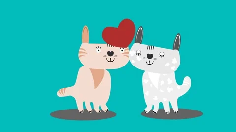 Loop animation of two kissing kitties with an alpha channel at the end 4k Stock Footage 158121295