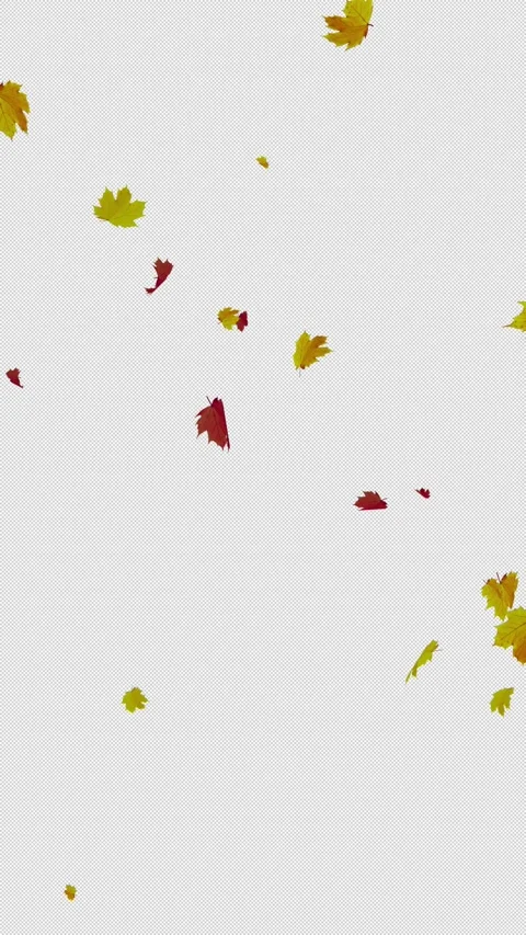 Loop autumn leaves falling down on transparent vertical background Stock Footage 345326382