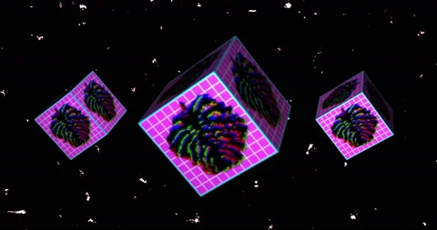 Loop background with glitched monstera on rotating 3d cubes. Retrowave video Stock Footage 112140834