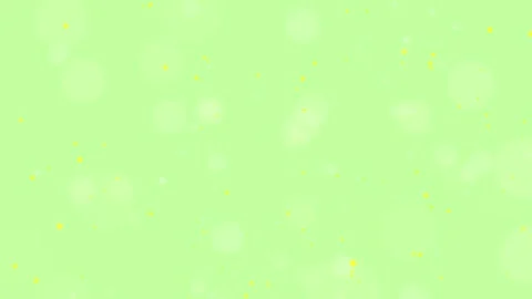 Loop background with mimosa and light particles Stock Footage 311899071