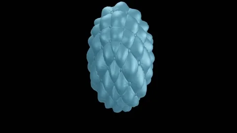 Loop balloon leather fabric loading animation Video stock 344290131