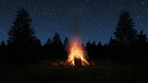 Loop of big bonfire in front of spruce trees and starry sky Stock Footage 272445862