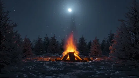 Loop of bonfire with sparks in front of snowy pine trees and moonlight sky Stock Footage 295457885