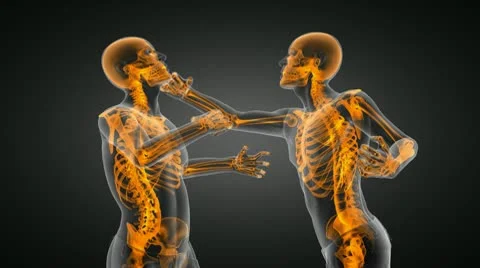 Loop Boxing men made in 3D graphics Видео 10758896