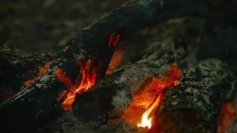 Loop of Bright Flames on Campfire Wood 動画素材 342505014