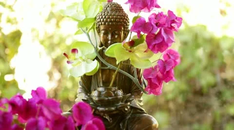 Loop: Buddha fountain in window with pink flowers - close Stock Footage 22025378