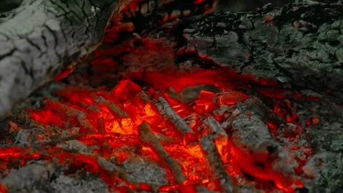 Loop of Burning Campfire Logs and Embers. 動画素材 342504958