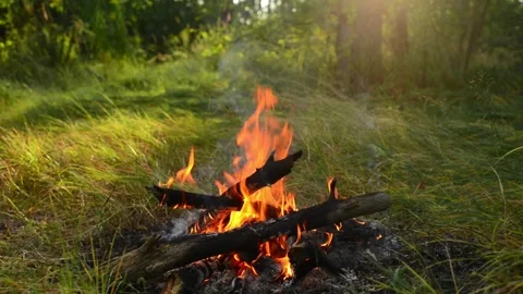 Loop of Campfire Burning in Forest with Crackling Audio Video stock 342787988