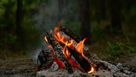 Loop of Campfire Burning in Forest with Real Crackling Sound Stock Footage 342504175