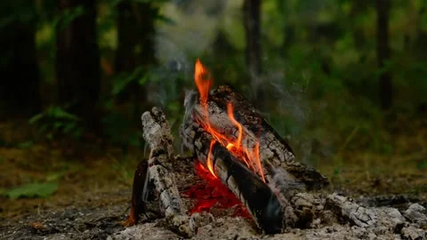 Loop of Campfire Burning in Forest with Real Sound 動画素材 342505561