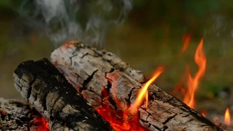 Loop of Campfire Burning in Woods with Real Fire Sound Stock Footage 342504318