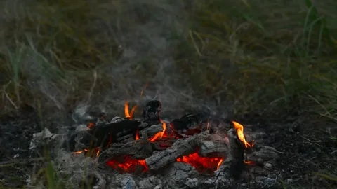 Loop of Campfire Coals and Embers in Forest with Real Sound Stock Footage 342787955