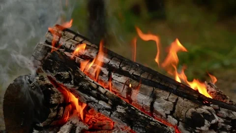 Loop of Campfire Flames and Smoke with Crackling Sound Video stock 342504354