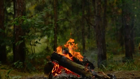 Loop of Campfire Flames and Smoke Video stock 342504653