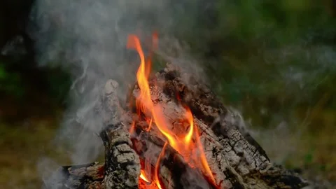 Loop of Campfire Flames and Smoke in Forest with Audio Video stock 342505590