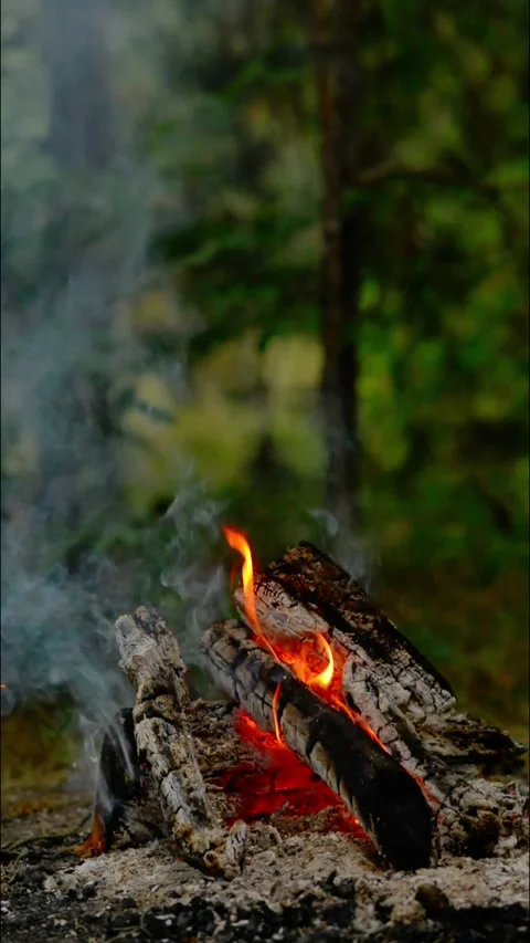 Loop of Campfire Smoke and Embers in Forest Stock Footage 342505294