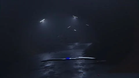 Loop Cave Bat swarm Motion 스톡 동영상 162281882