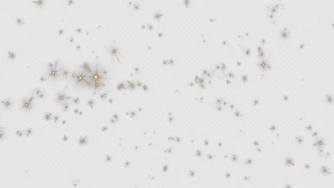 Loop circle falling down gold star particles pattern animation Vidéo 264962761