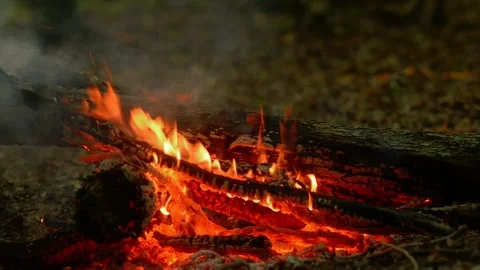 Loop of Close-up Campfire Embers and Flames 库存影片 342505184