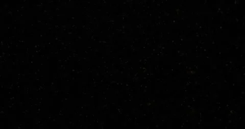 Loop cloud of flickering golden dots random flying on black background Stock Footage 346650839