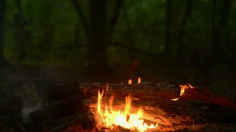 Loop of Crackling Campfire in Woods 動画素材 342504991