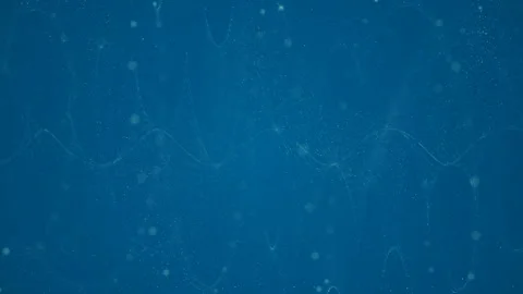 Loop Cycle Background,Abstract background with animation Stock Footage 103192021