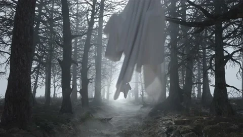Loop dark scary forest with flying ghosts Stock Footage 144196049