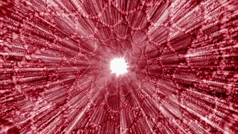 Loop DNA Spiral Red Background Stock Footage 249311840