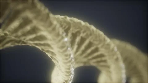 Loop double helical structure of dna strand close-up animation イラスト素材