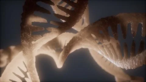 Loop double helical structure of dna strand close-up animation Illustrazione stock