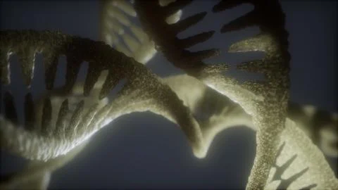 Loop double helical structure of dna strand close-up animation イラスト素材