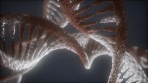 Loop double helical structure of dna strand close-up animation イラスト素材