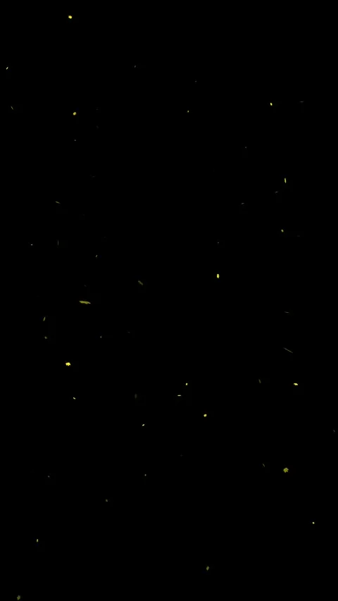 Loop falling autumn leaves on clean vertical black background Stock Footage 344145894