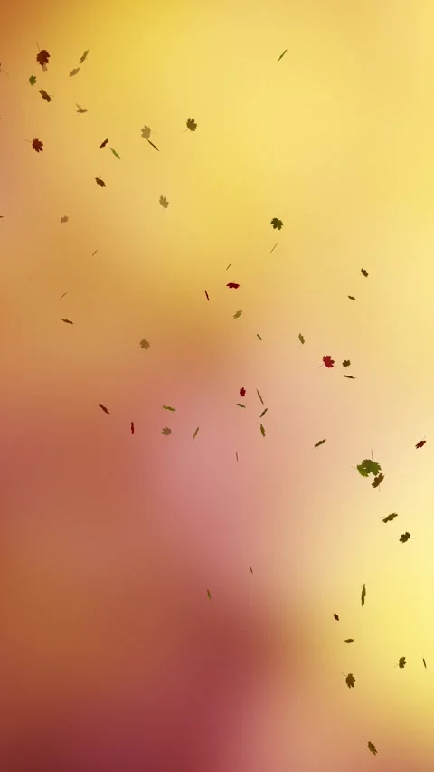 Loop falling autumn leaves on sunny blurred bokeh vertical background Stock Footage 345327106