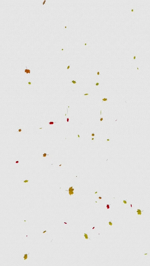 Loop falling autumn leaves on transparent background Stock Footage 345328617