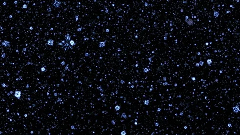 Loop falling blue star dust particles on black background Stock Footage 302735137