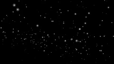 Loop falling white snowflake on black background Vídeo Stock 316762575