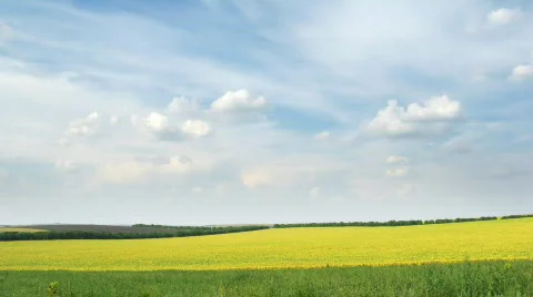 Loop of fields and sky Stock Footage 727912