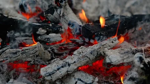 Loop of Firewood Burning in Forest Campfire with Audio Stock Footage 342787953