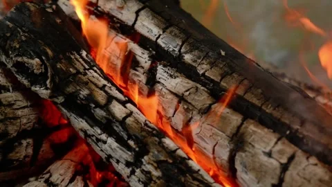 Loop of Firewood Burning in Outdoor Campfire with Real Audio 動画素材 342504531