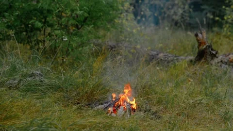 Loop of Firewood Burning in Woodland Campfire with Sound Stockbeeldmateriaal 342787989