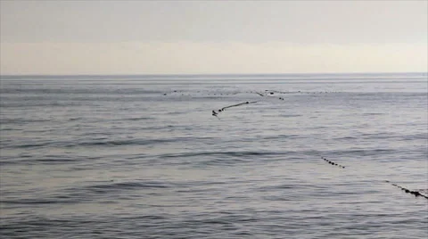 Loop from fishing net Stock Footage 49689914