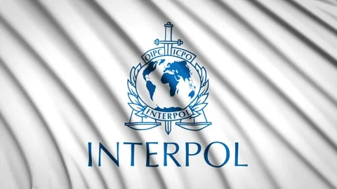 Loop Flag Interpol Stock Footage 155547540