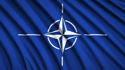 Loop Flag NATO Stock Footage 155547947