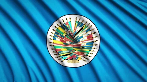 Loop Flag Organization of American States Stock Footage 155547724